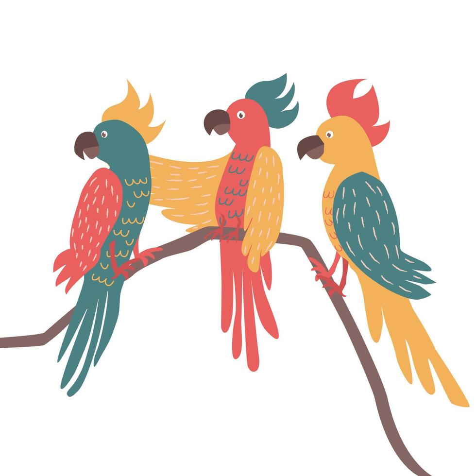 tres loros exóticos sentados en almuerzos. Aves tropicales y colección de loros ilustración vectorial vector