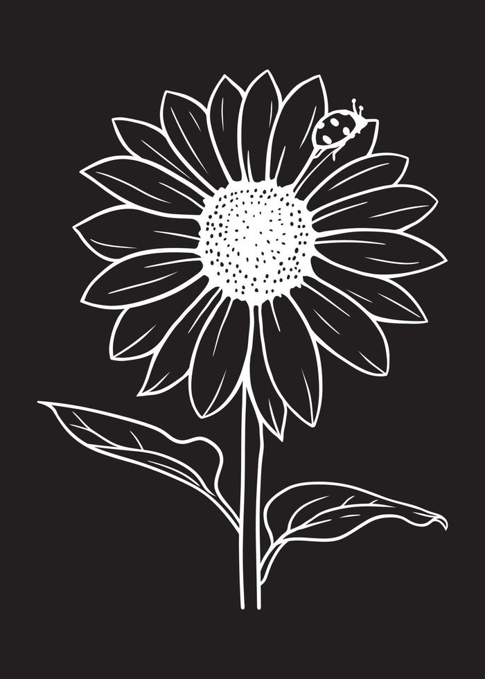 sunflower with ladybug in black and white vector illustration on black background