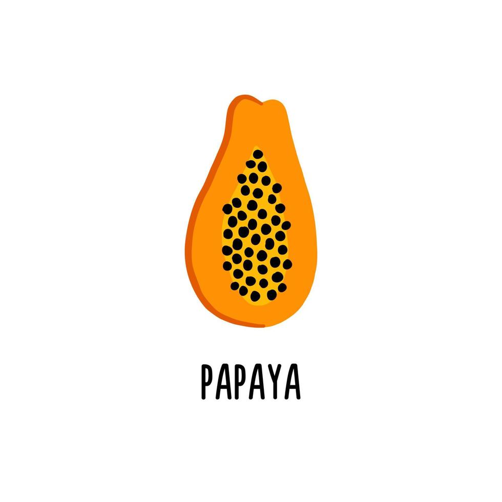 ilustración vectorial aislada de papaya sobre un fondo blanco. imágenes prediseñadas para el catálogo de alimentos para bebés vector