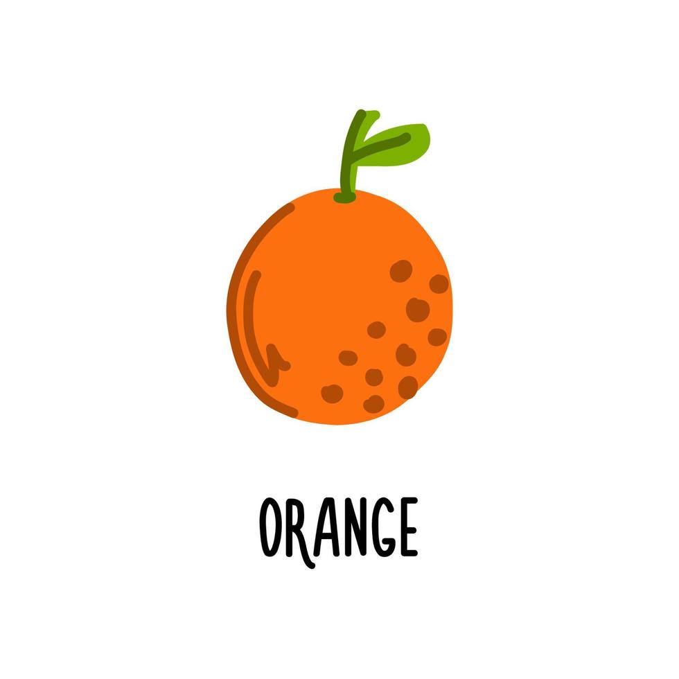 Isolated vector illustration of orange on a white background. Clipart for baby food catalog