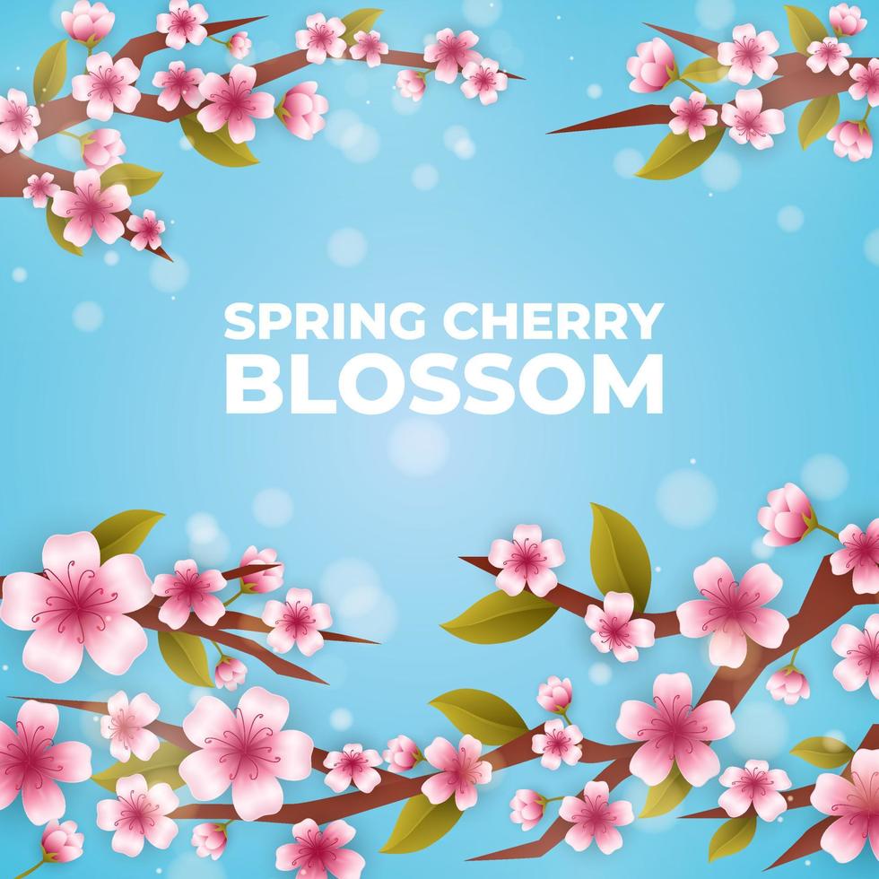 Background of Spring Blue Sky Cherry Blossom vector