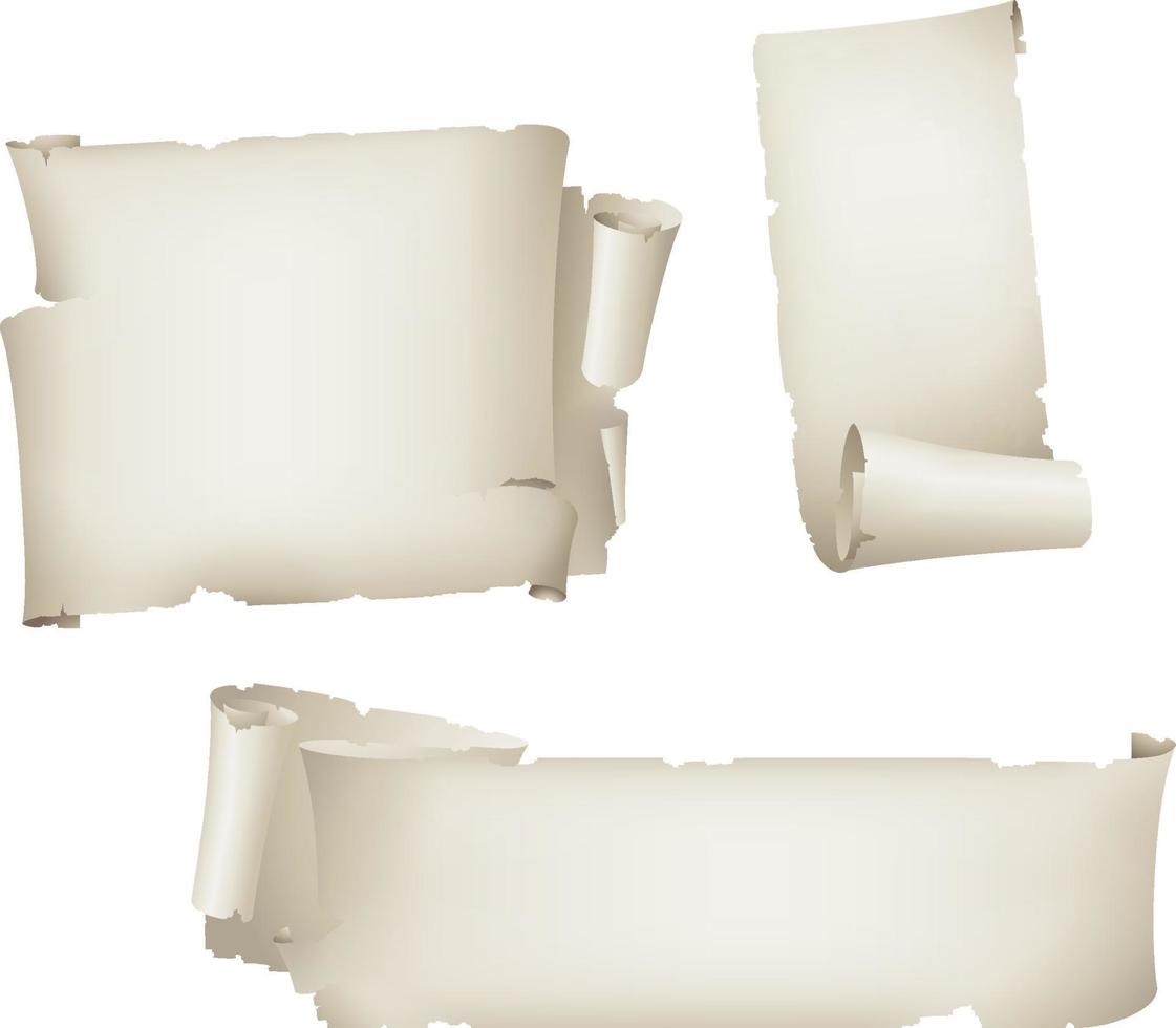 Old scroll paper banner.Blank sheet. vector