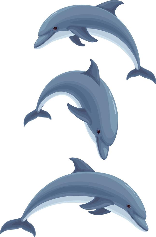 dolphin.sea life.sea animales, elemento de ilustración. vector