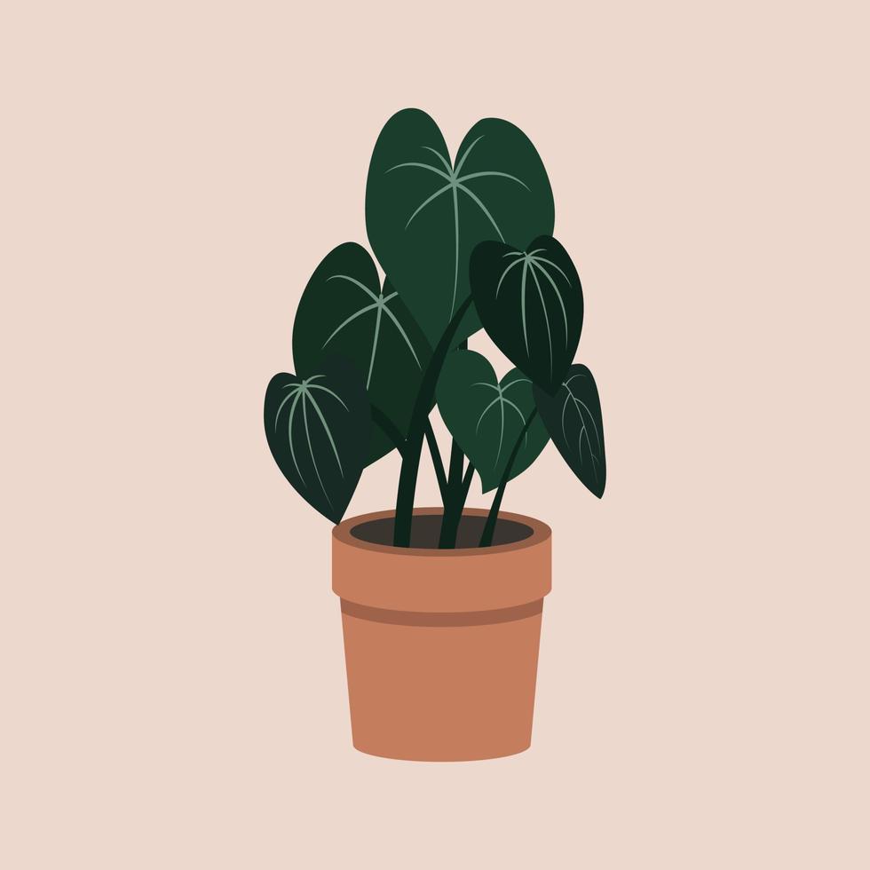 planta de interior en maceta dibujada a mano en ilustración plana vector