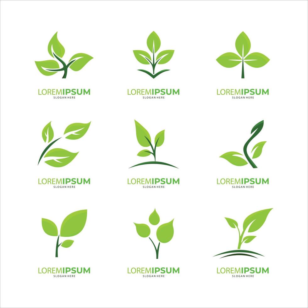 Nature creative symbol organic concept. Leaf icon, Corporate identity logotype, company graphic design collection vector