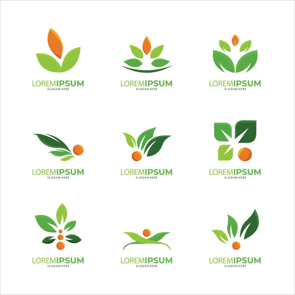 concepto orgánico del símbolo creativo de la naturaleza. icono de hoja, logotipo de identidad corporativa, colección de diseño gráfico de empresa vector