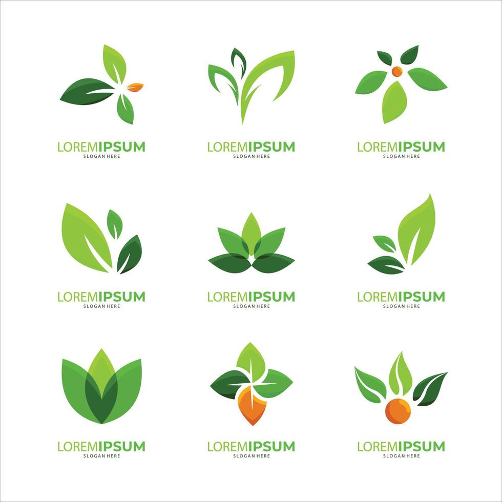 concepto orgánico del símbolo creativo de la naturaleza. icono de hoja, logotipo de identidad corporativa, colección de diseño gráfico de empresa vector