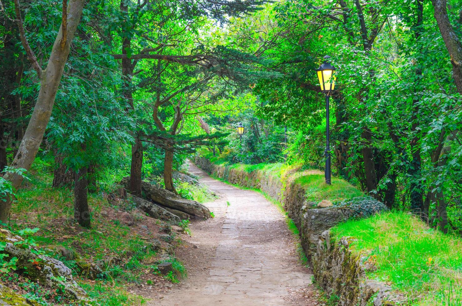 Camino de ladrillos de adoquín con lámpara de luz de la calle en el bosque del parque con árboles verdes foto