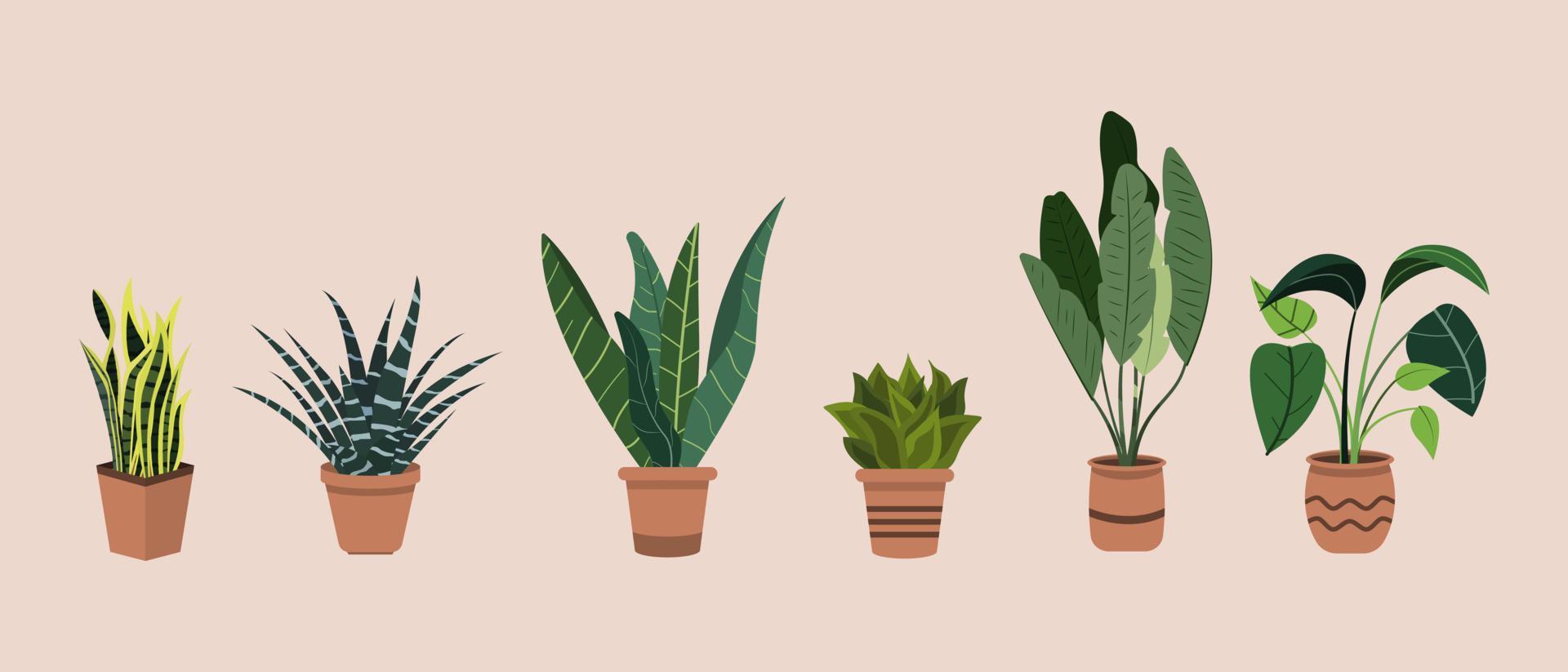grupo de plantas de interior en macetas planas dibujadas a mano ilustración vector