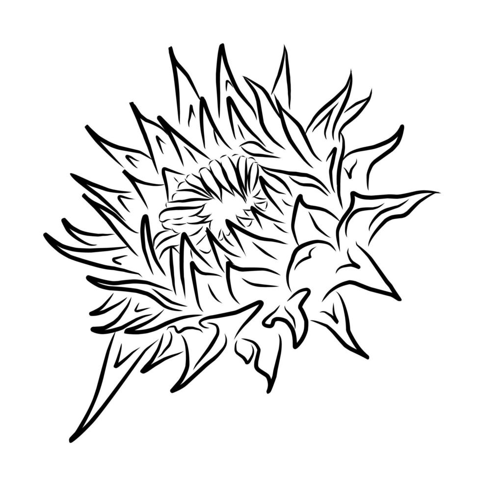 Line style flower illustration vector