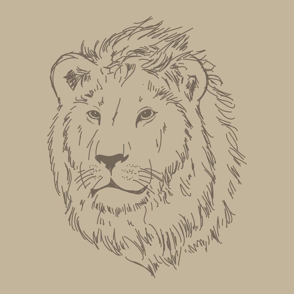 Lion head vector hand drawn illustration