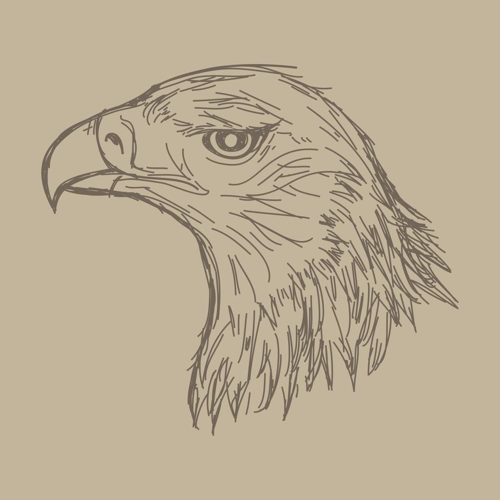 Hand drawn eagle head sketch vector illustration