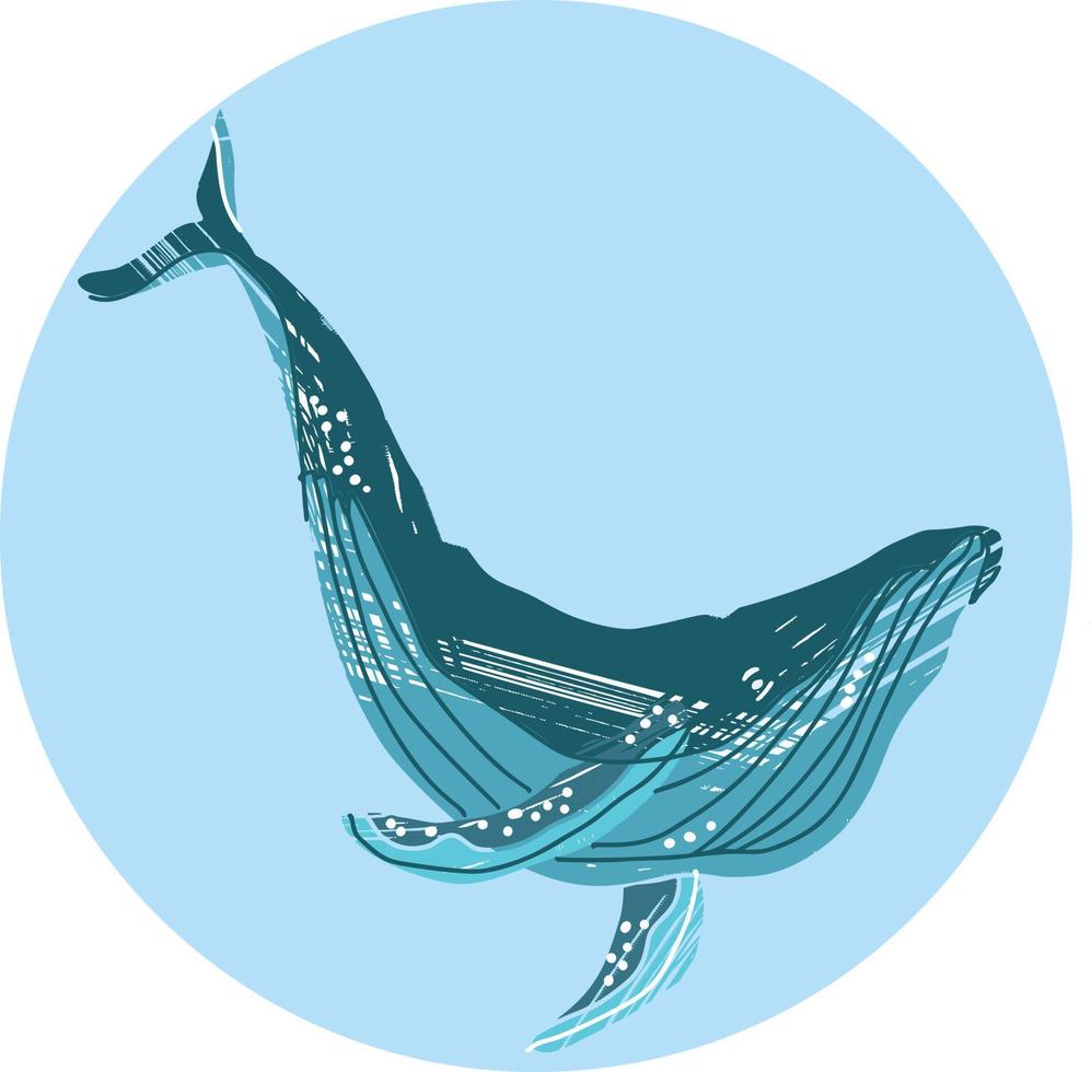 Sketch of whale. Hand drawn outline converted to vector. Transparent background vector