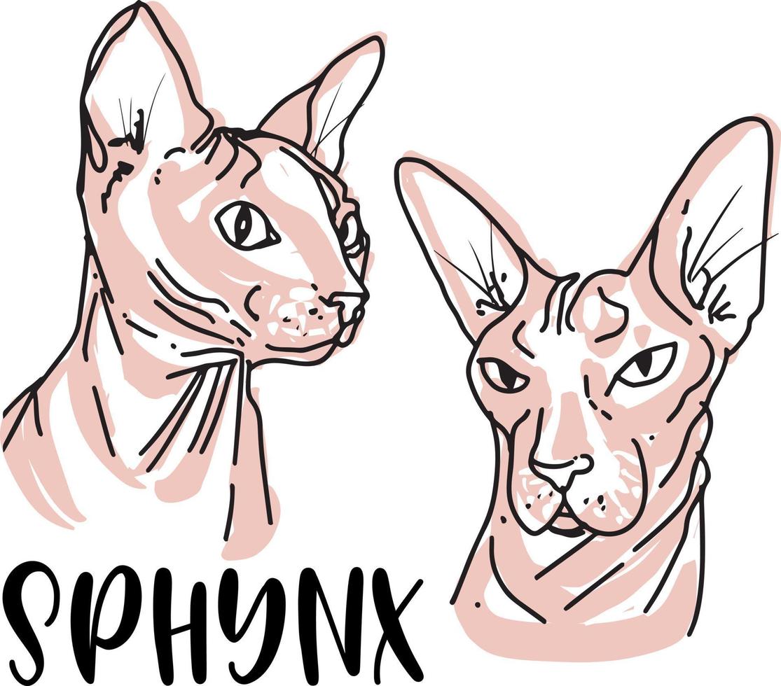 Ilustración de vector de grabado de boceto de color de cabeza de animal de gato sphynx. Imitación de estilo de tablero de rascar. imagen dibujada a mano en blanco y negro.