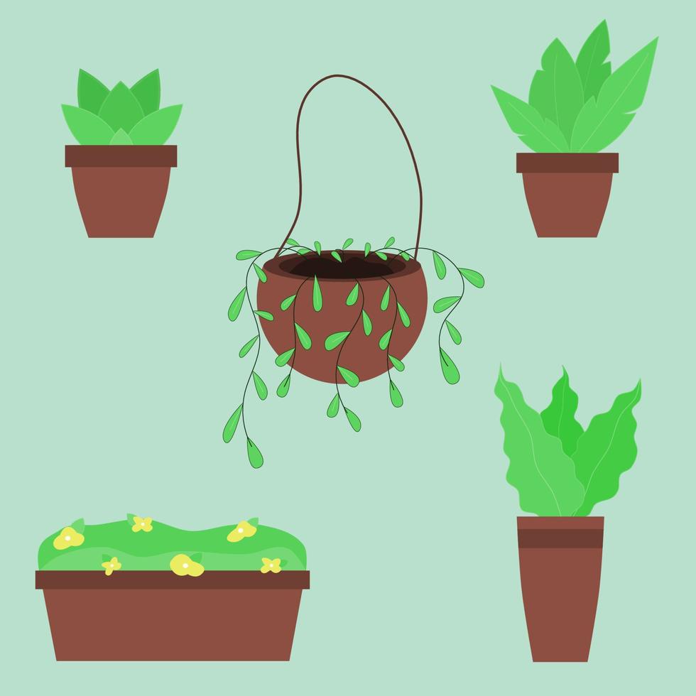 un conjunto de plantas de interior. diferentes plantas en macetas. hojas tropicales, helechos, lianas, hojas de plátano. ilustración vectorial en estilo de dibujos animados plana vector