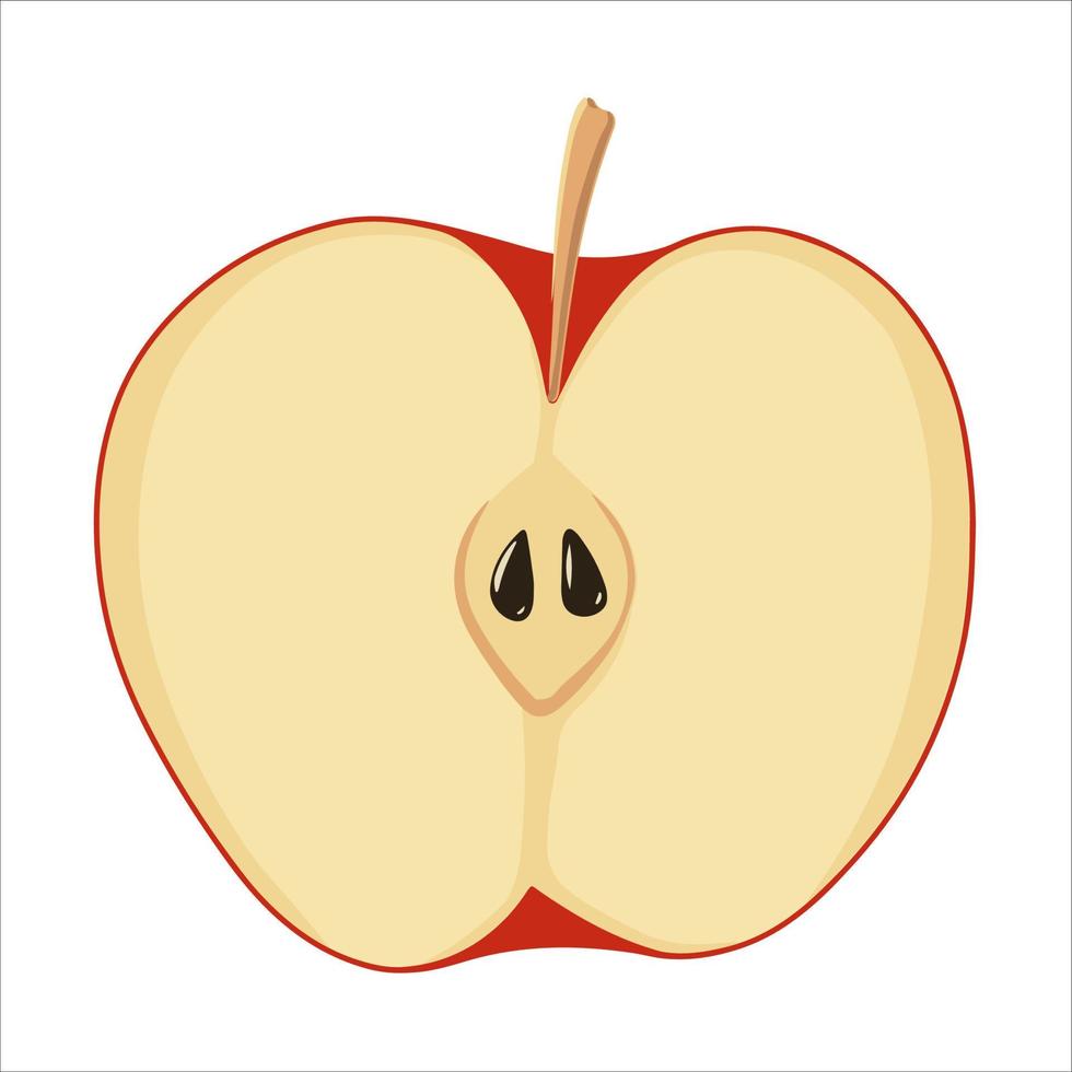 medio icono de manzana roja. ilustración plana del icono de vector de manzana para web aislado sobre fondo blanco. adecuado para postales, etiquetas, tarjetas