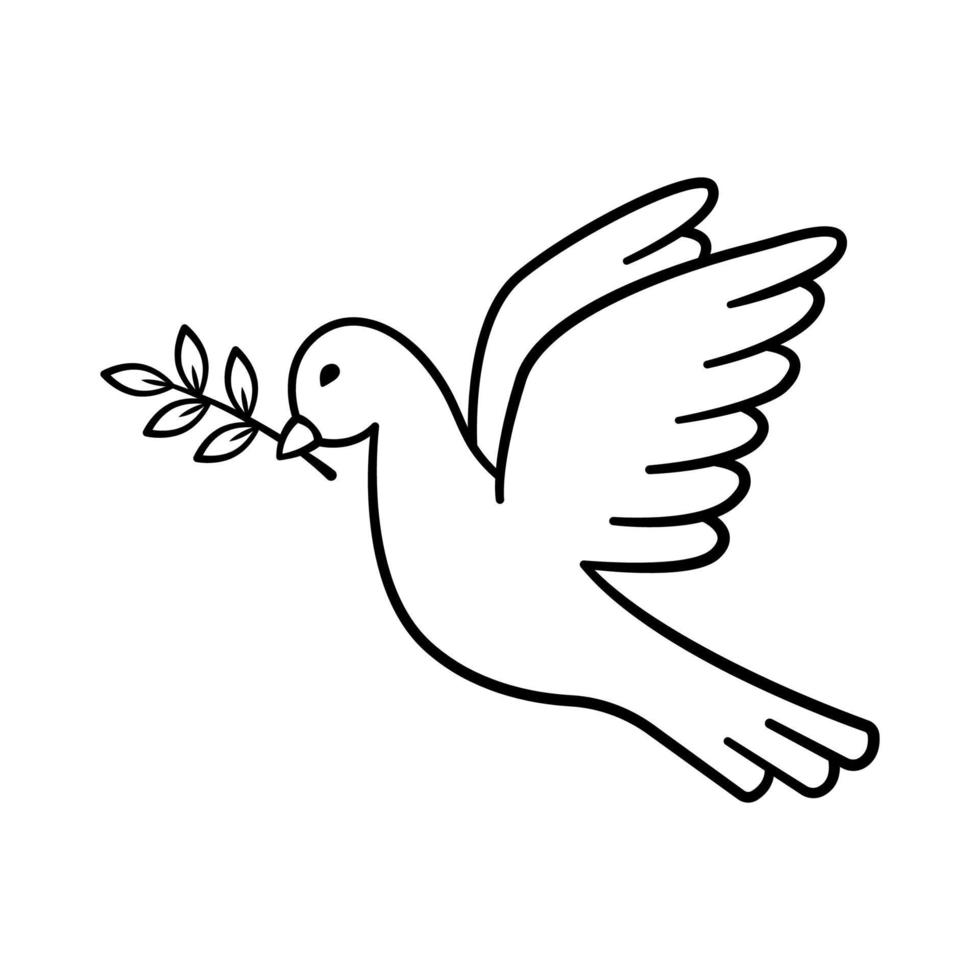 Paloma de la paz. paloma dibujada a mano volando con rama de olivo. el pájaro es símbolo de paz y libertad en un estilo de línea de garabato simple. ilustración vectorial aislada. vector