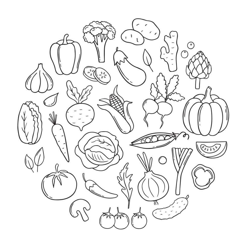 Hand drawn set of vegetables doodle. Carrot, radish, salad, cucumber, cabbage in sketch style.  Vector illustration isolated on white background.