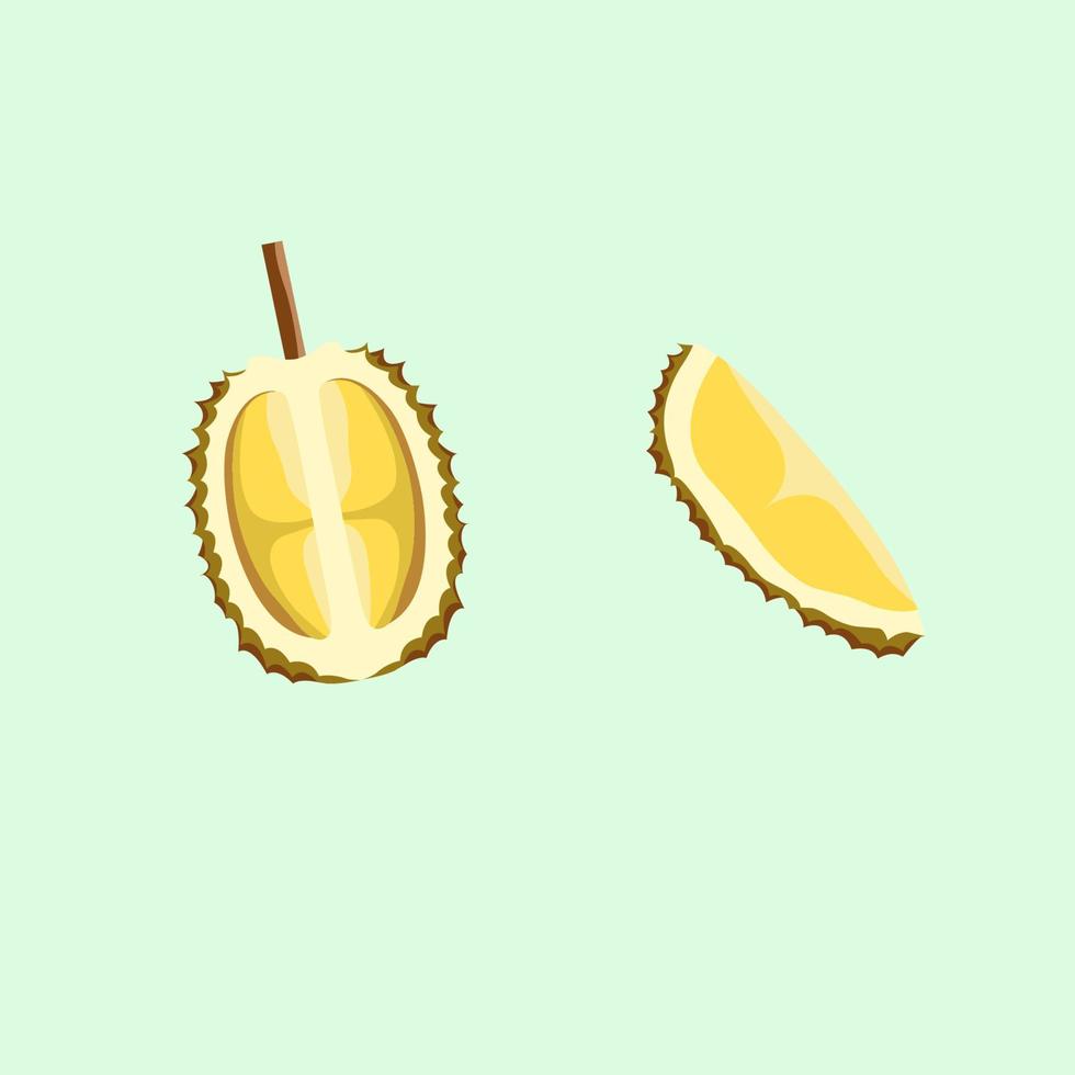 Durian flat vector