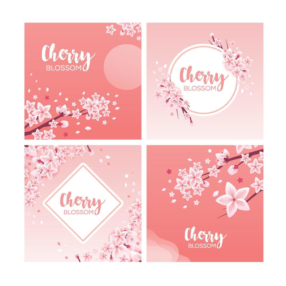 Cherry Blossom Season Greeting Social Media Post Template vector