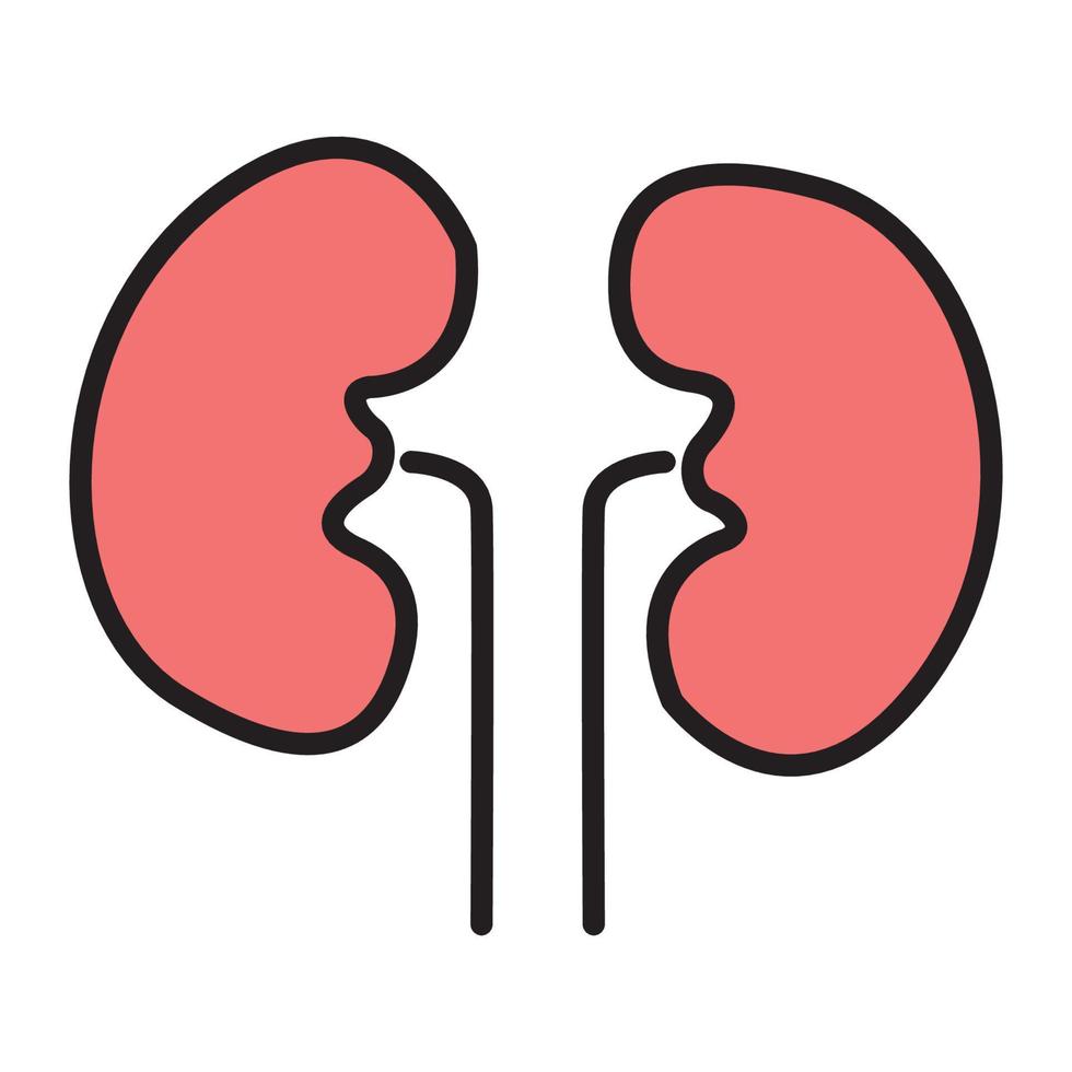 lungs bottom for website, symbol , presentation editable vector