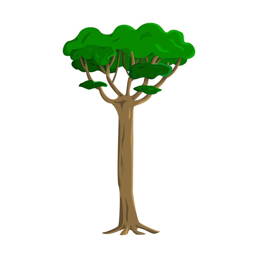 Viejo árbol alto verde realista aislado sobre fondo blanco - vector