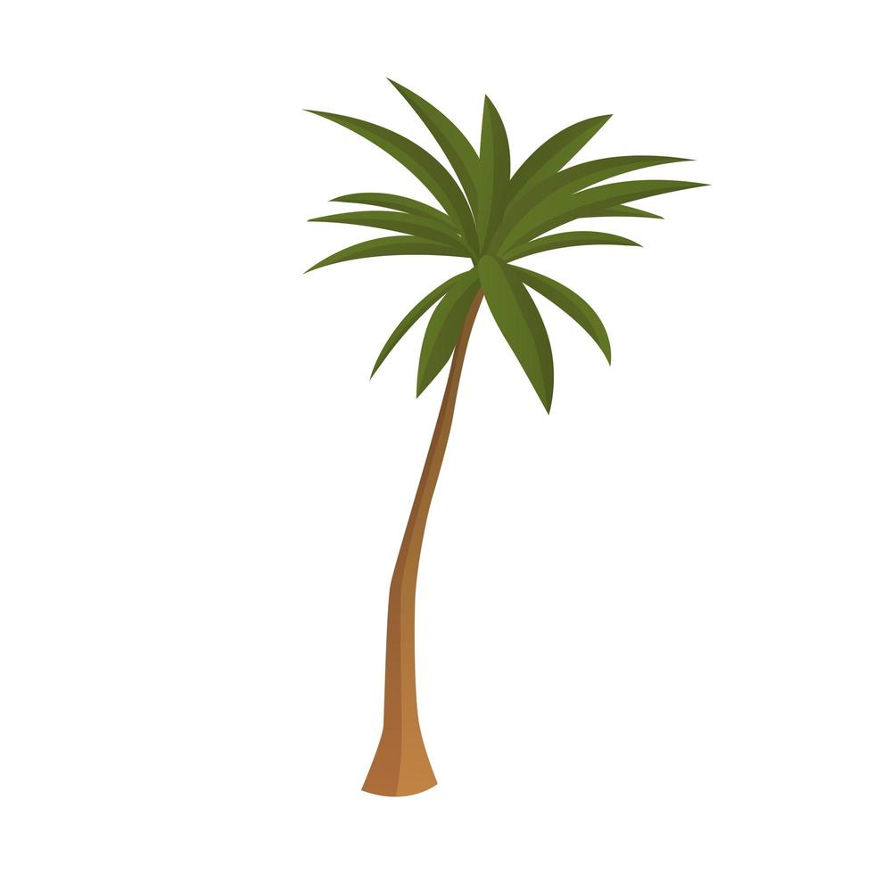 Realistic tall green palm tree isolated on white background - Vector