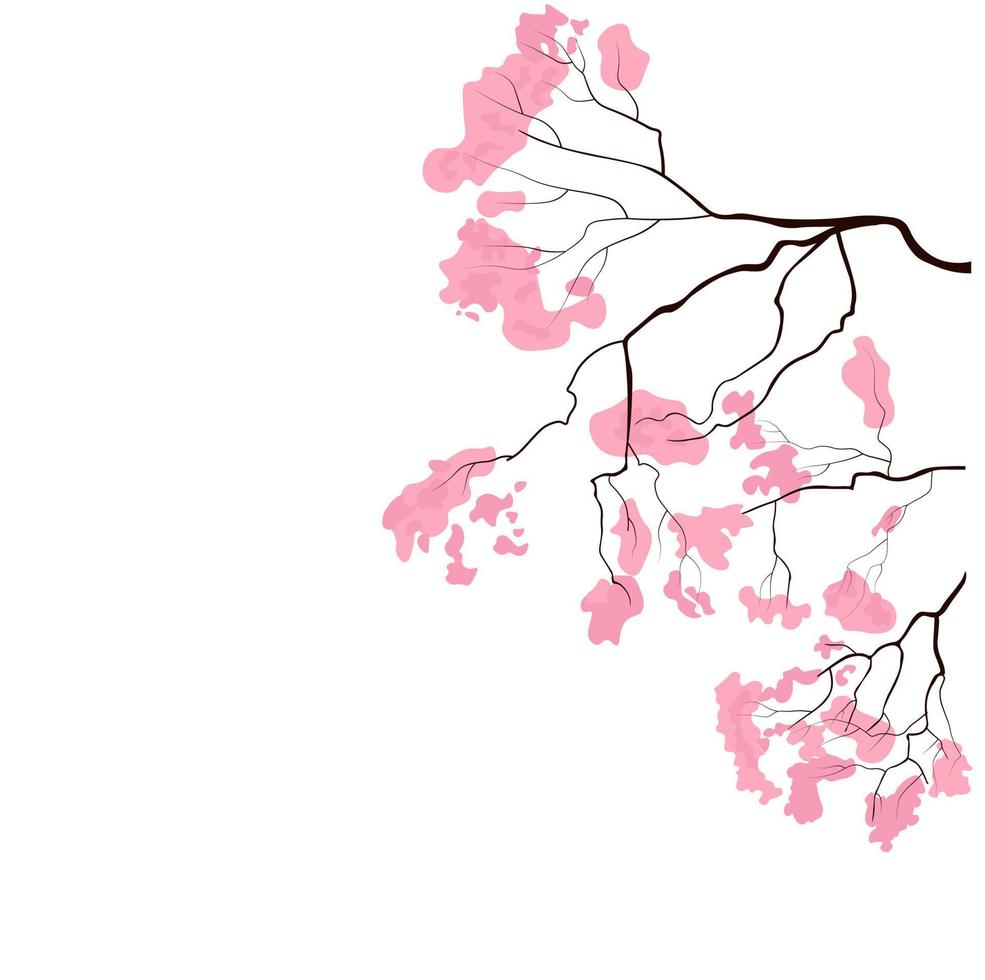 Ilustración de stock de vector de rama de sakura. cereza coreana. la floración de capullos de rosa. cartel abstracto. Aislado en un fondo blanco.