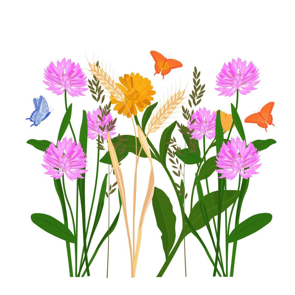 Ilustración de stock de vector de prado de hierba. un campo con plantas medicinales. trébol, manzanilla, caléndula, margarita, mariposas. césped de primavera. Aislado en un fondo blanco.