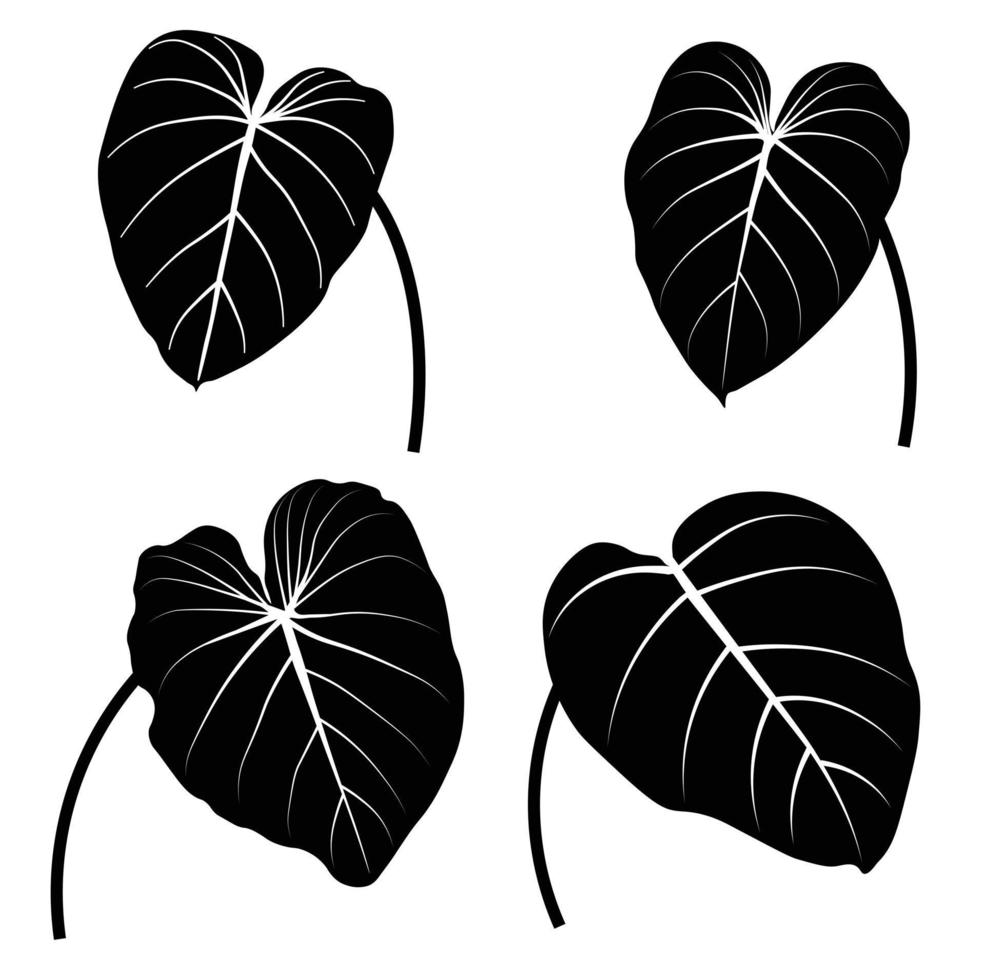 Ilustración de material vectorial de hojas de monstera tropical. primer plano de la plantilla en blanco y negro. plantilla para pegatinas, plantilla. Aislado en un fondo blanco. vector