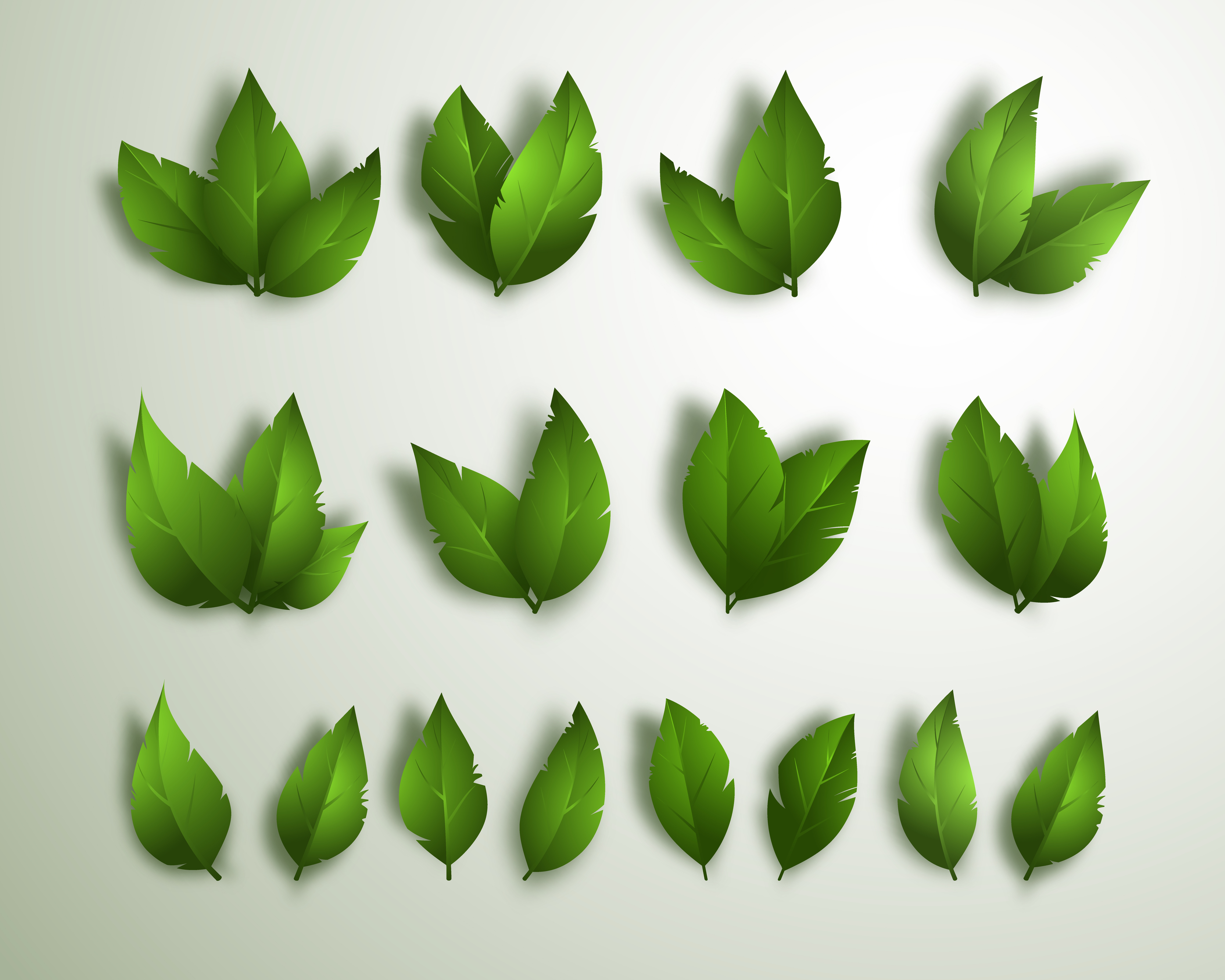 1,915,174 Small Green Leaf Images, Stock Photos, 3D objects, & Vectors