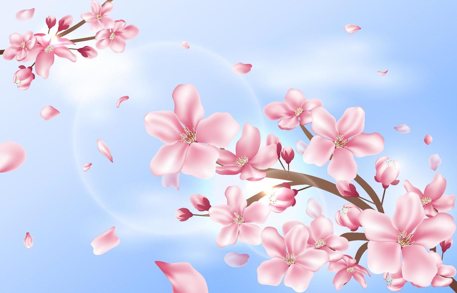 Realistic Cherry Blossom Background vector