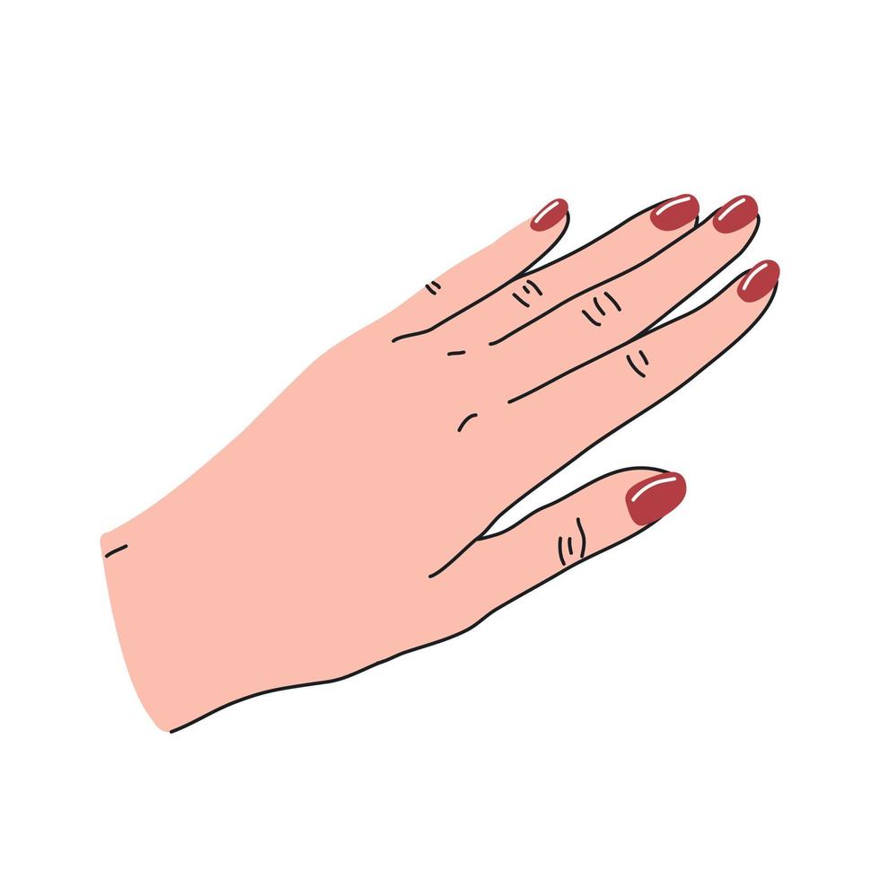 Straightened female hand with red manicure in cartoon flat style. Vector illustration isolated on white background.