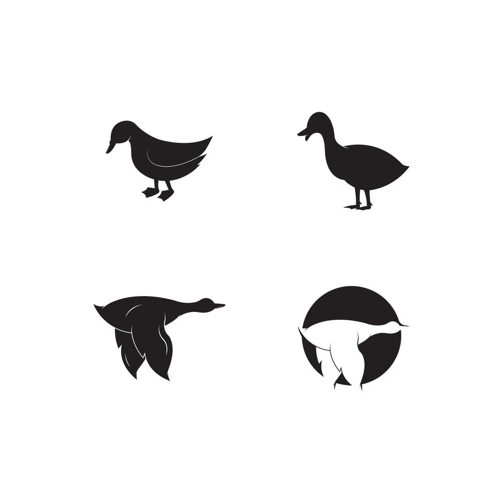 plantilla de icono de vector de logotipo de pato