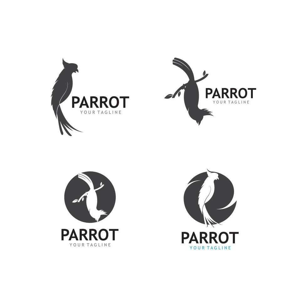 Parrot Logo Design Vector template