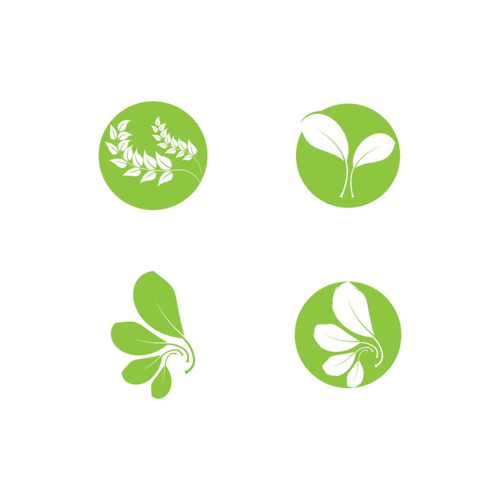 green leaf ecology nature element vector icon