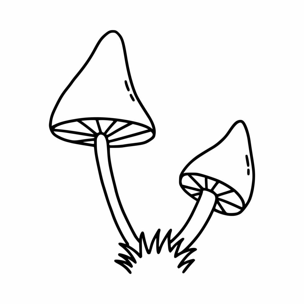 Two poisonous mushrooms on white background. Vector illustration of doodles. Fly agaric and toadstool