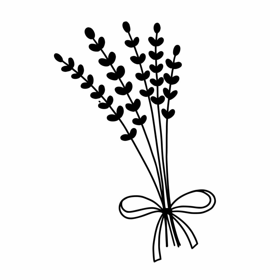 Bunch of lavender with beautiful ribbon. Vector doodle illustration. Icon is black line.