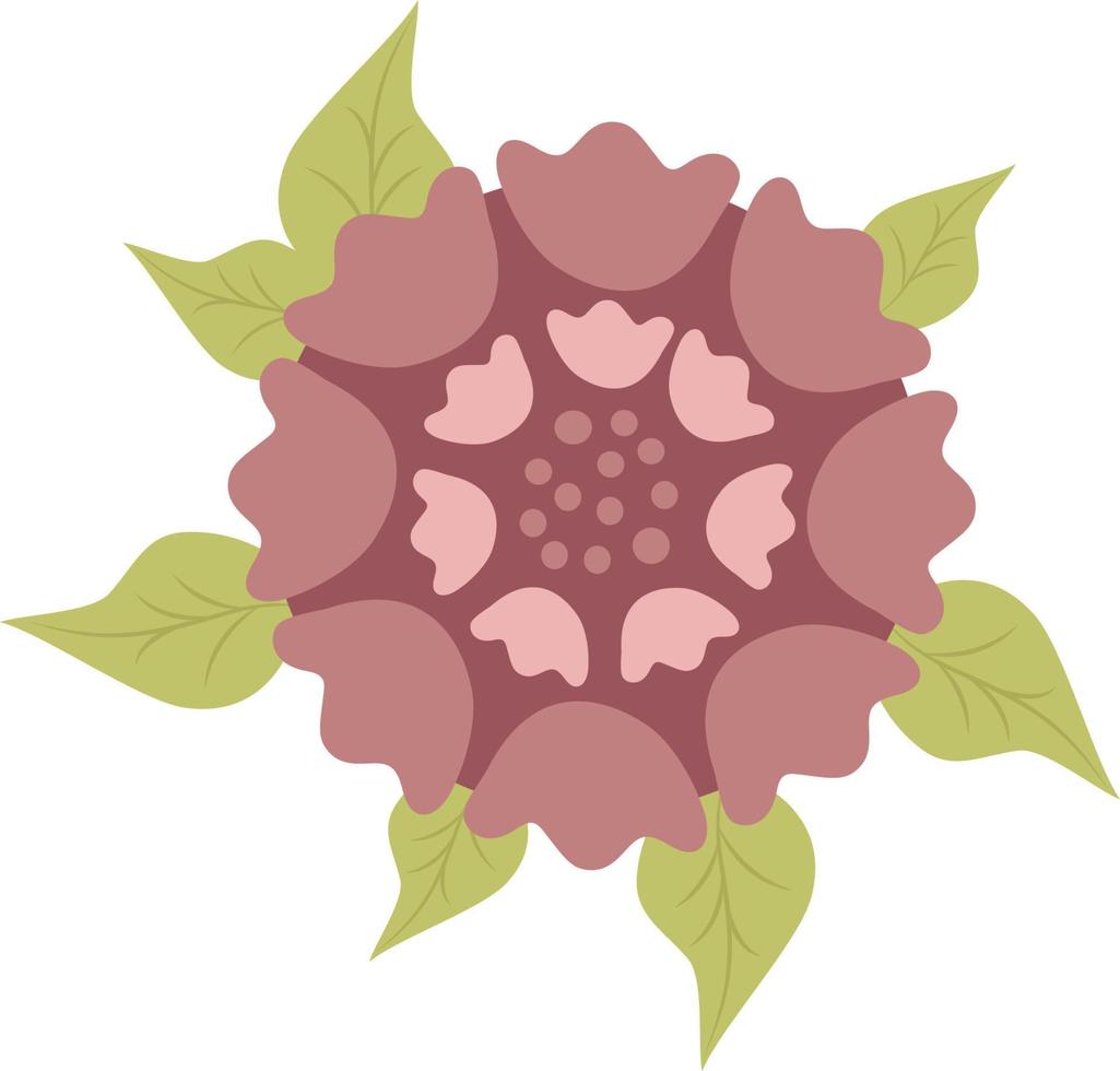 hermosa flor con hojas. ilustración vectorial decoración de plantas botánicas para diseño y decoración. vector