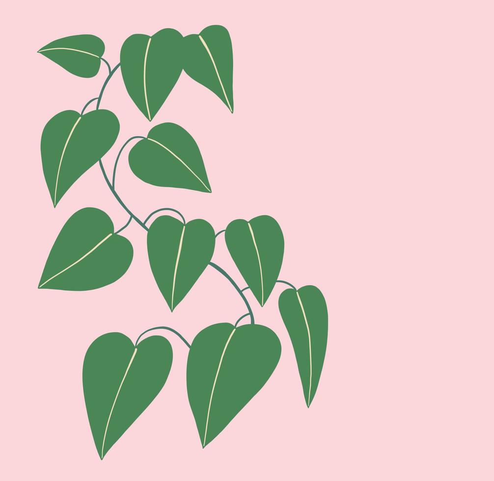 Simplicity ivy freehand drawing flat design. vector