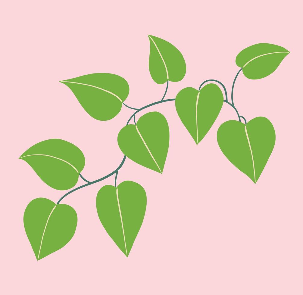 Simplicity ivy freehand drawing flat design. vector