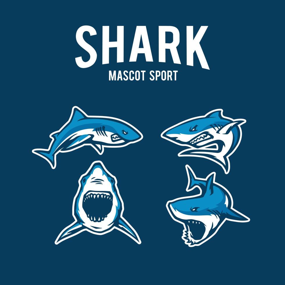shark sport logo vector