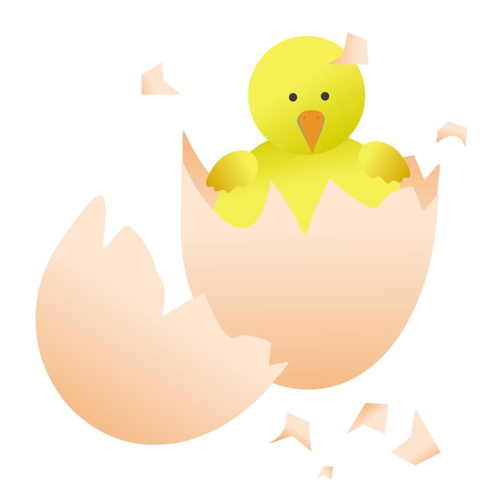 Baby chicken inside a cracked egg. vector