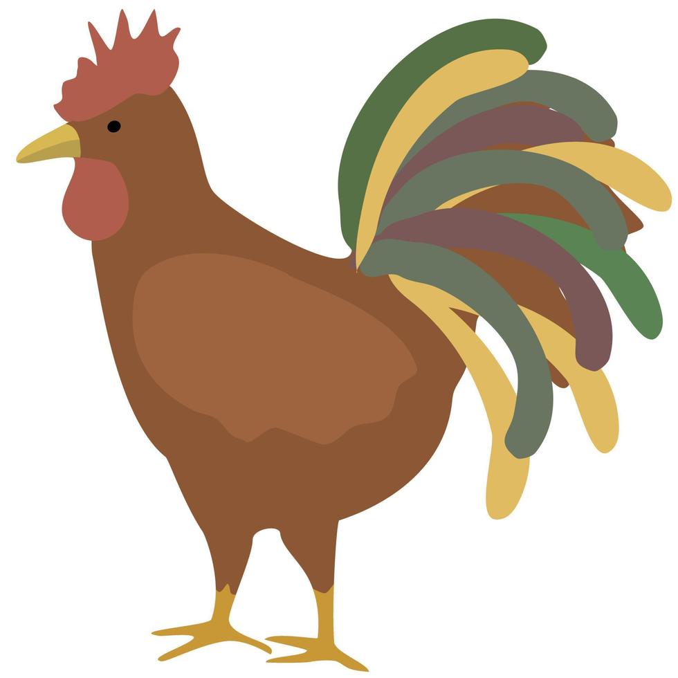 Rooster bird in transparent background. vector