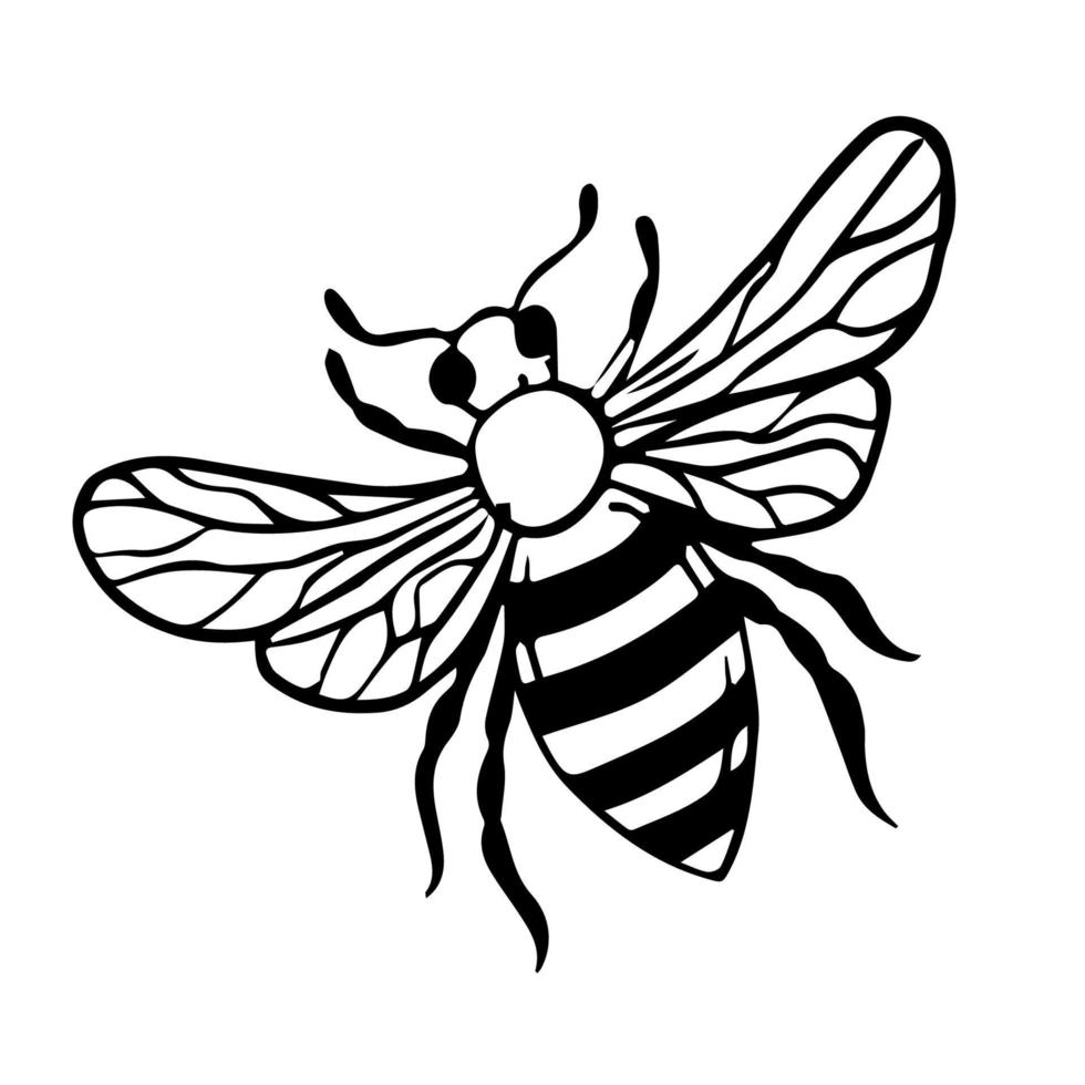 insects, wasps in the style of doodles. Vector. Line art bee hand-drawn vector