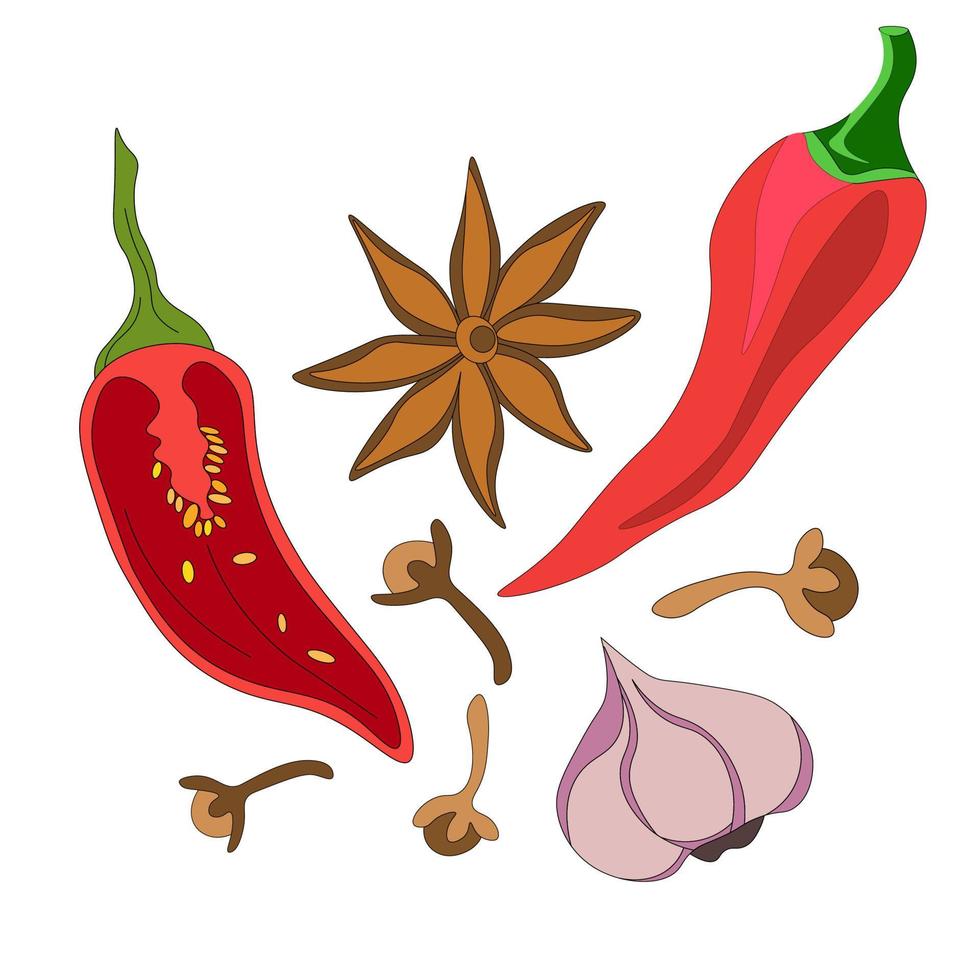 Red chili pepper, hot spice for food. set of spices - cloves, anise stars, chili pepper, garlic. vector drawings in the doodle style. organic product for farmer's market, farm design, local store