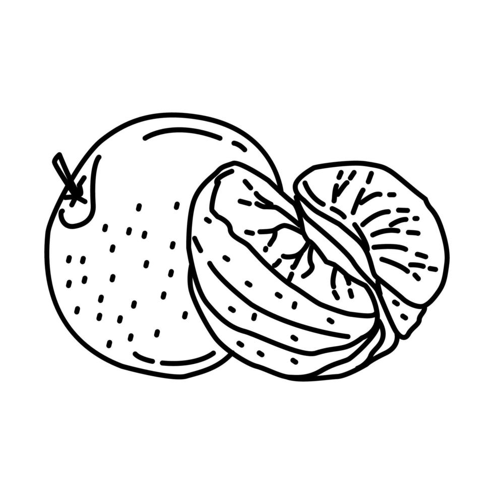 Tangerines and Orange Icon. Doodle Hand Drawn or Outline Icon Style. vector