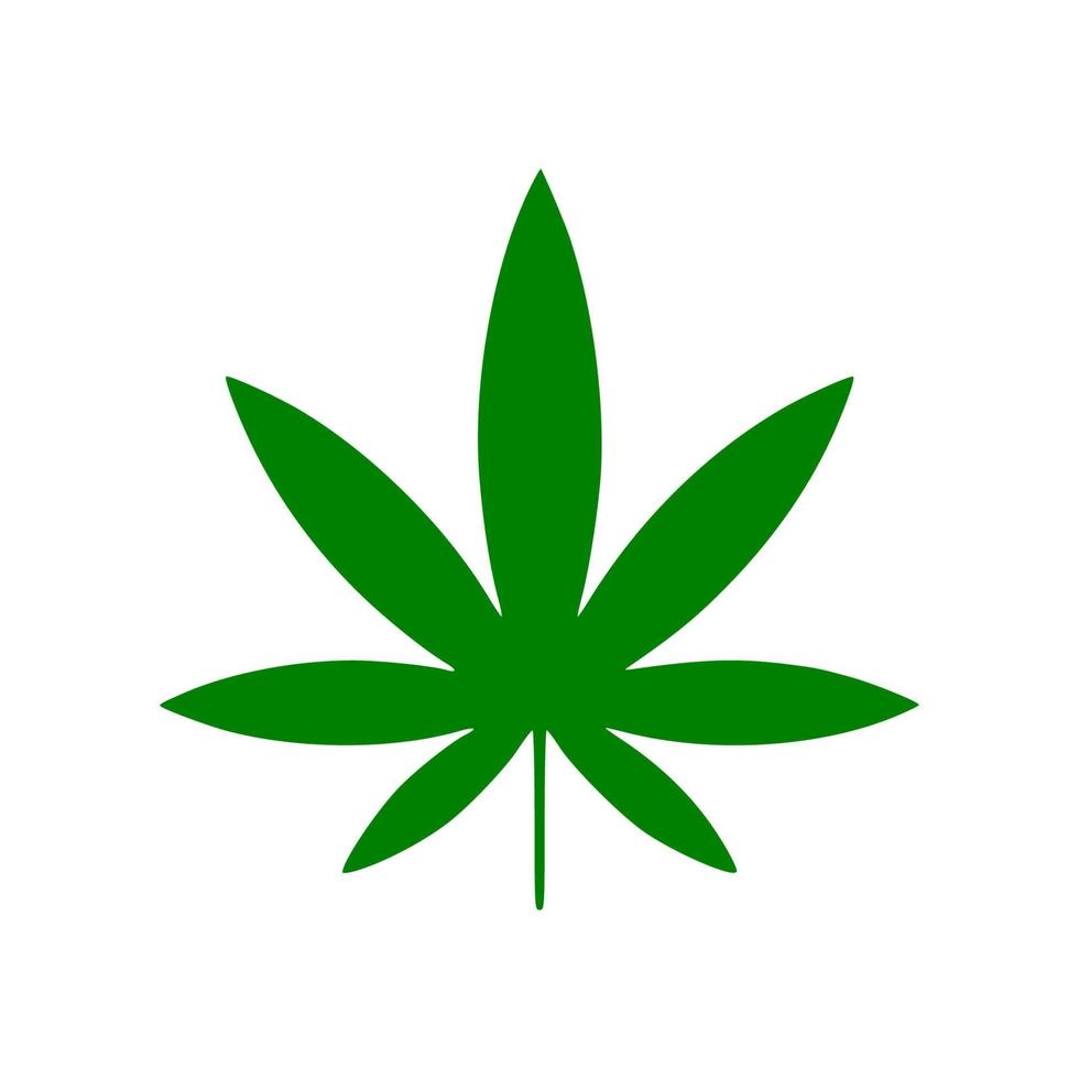 Vector cannabis leaf or hemp or marijuana, herbal plant for medical treatment icon