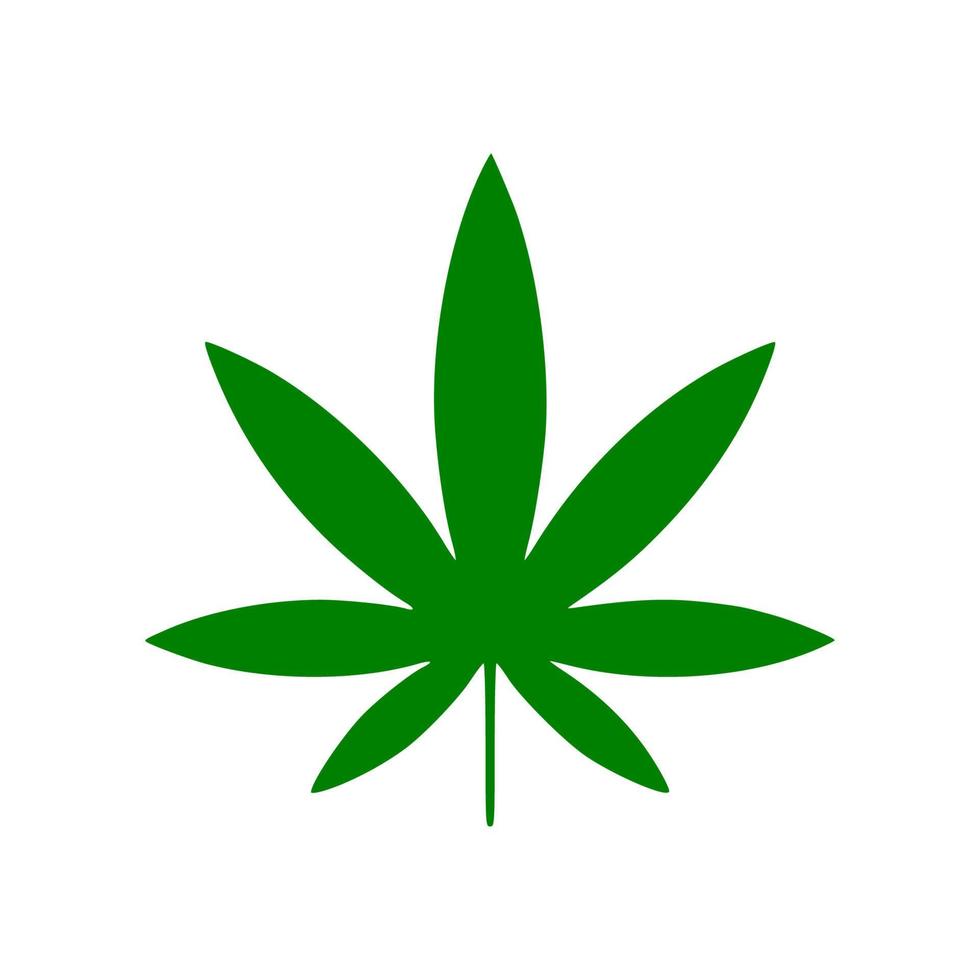 Vector cannabis leaf or hemp or marijuana, herbal plant for medical treatment icon
