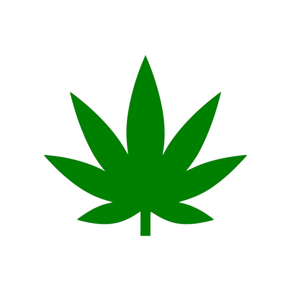 Vector cannabis leaf or hemp or marijuana, herbal plant for medical treatment icon